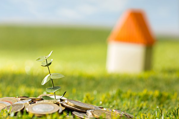 real estate time wealth