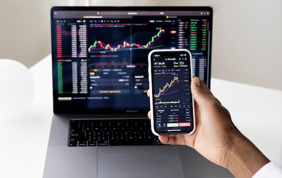 What was Tesla highest stock price?