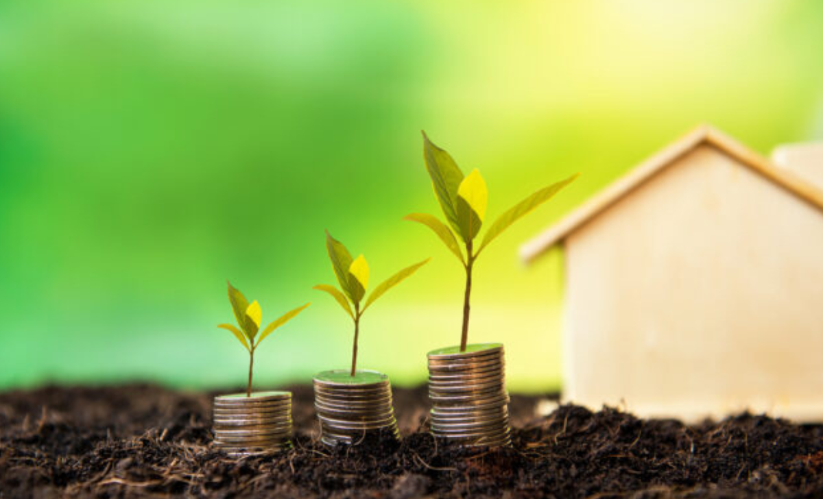 real estate time wealth